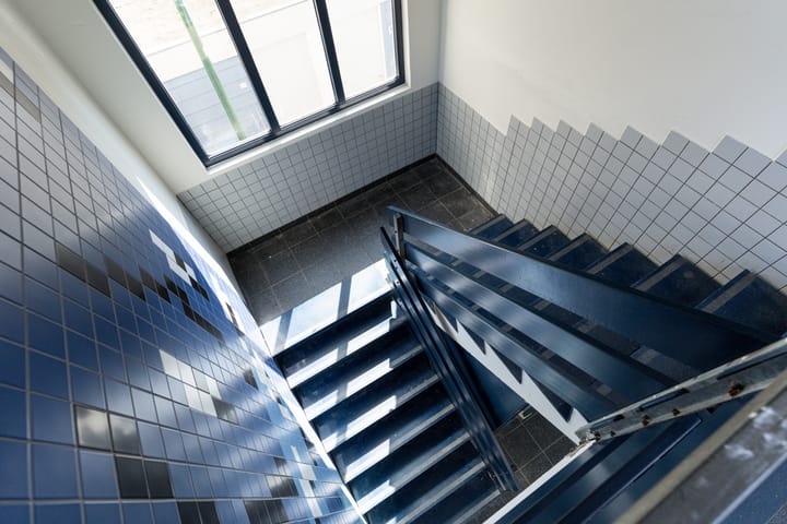 Photo 34 of Antilopespoor 11