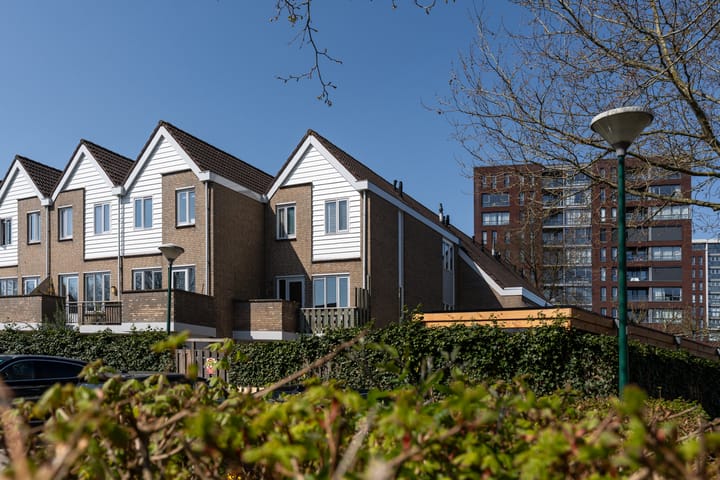 Photo 37 of Antilopespoor 11