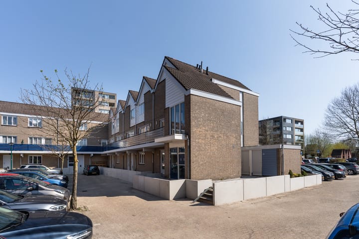 Photo 38 of Antilopespoor 11