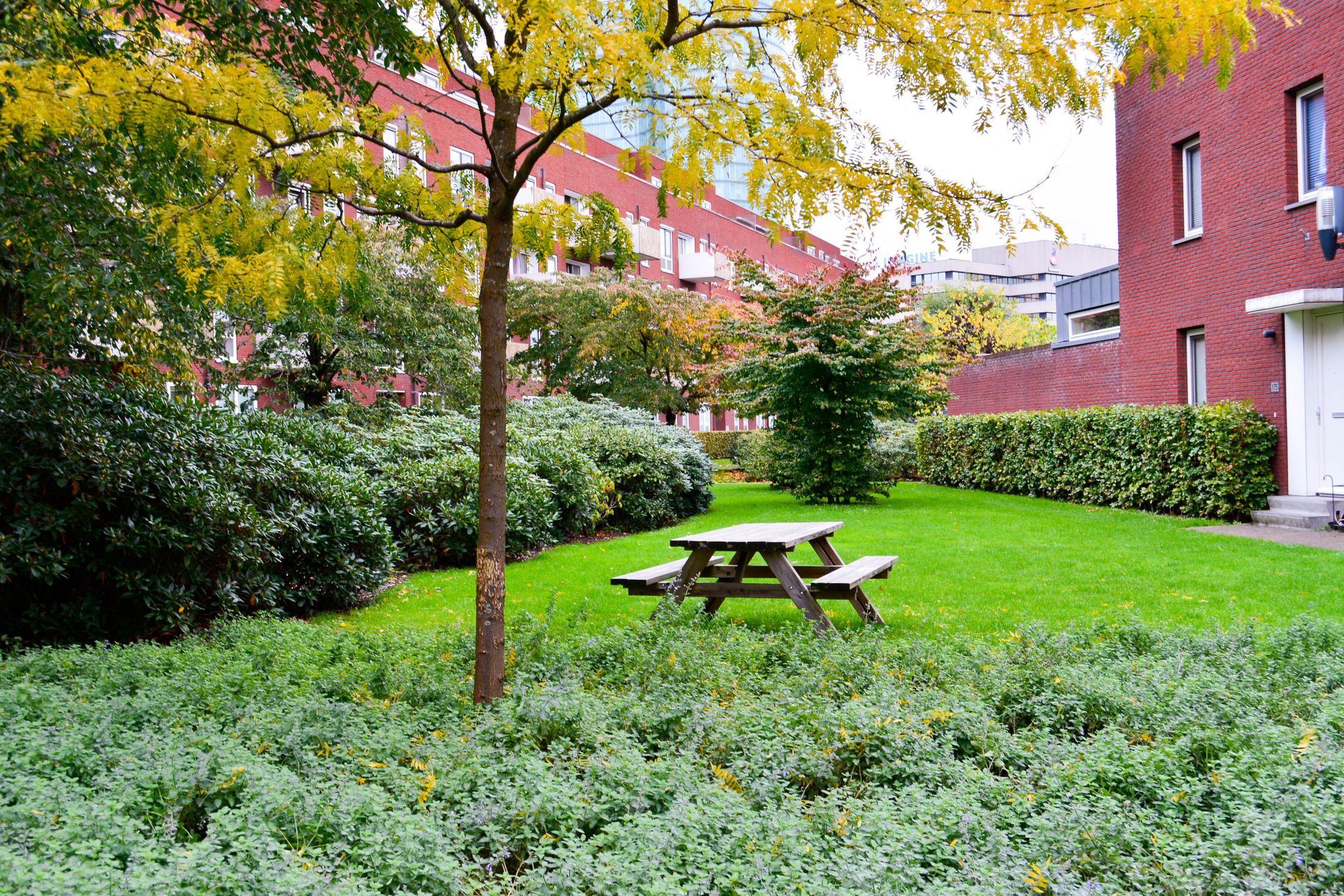 Photo 18 of Veilinghavenkade 23