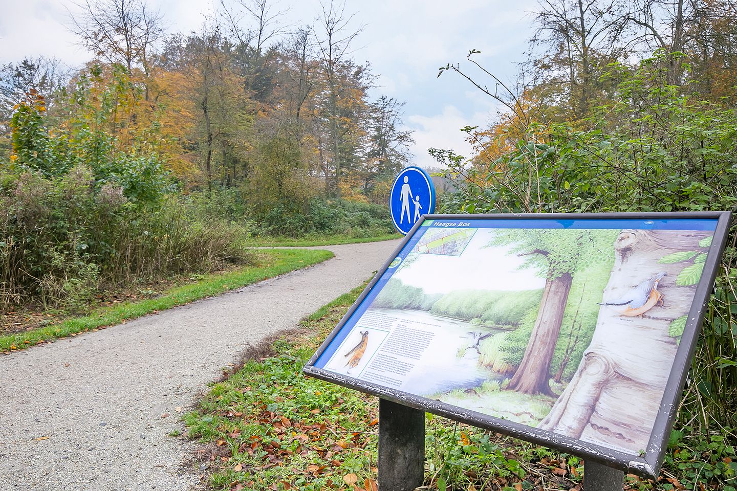 Foto 34 van Cornelis Houtmanstraat 5