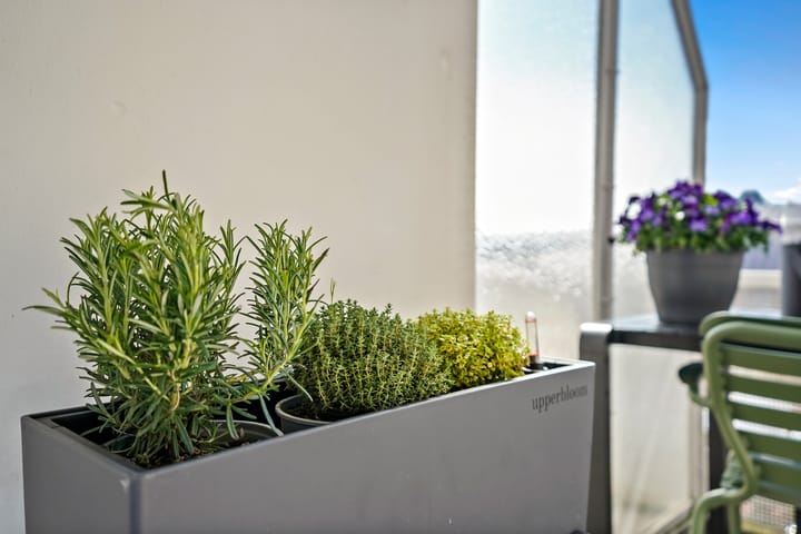 Photo 28 of Cornelis Houtmanstraat 5