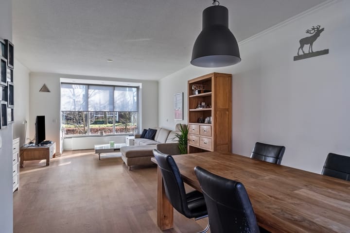 Foto 10 van Distel 6