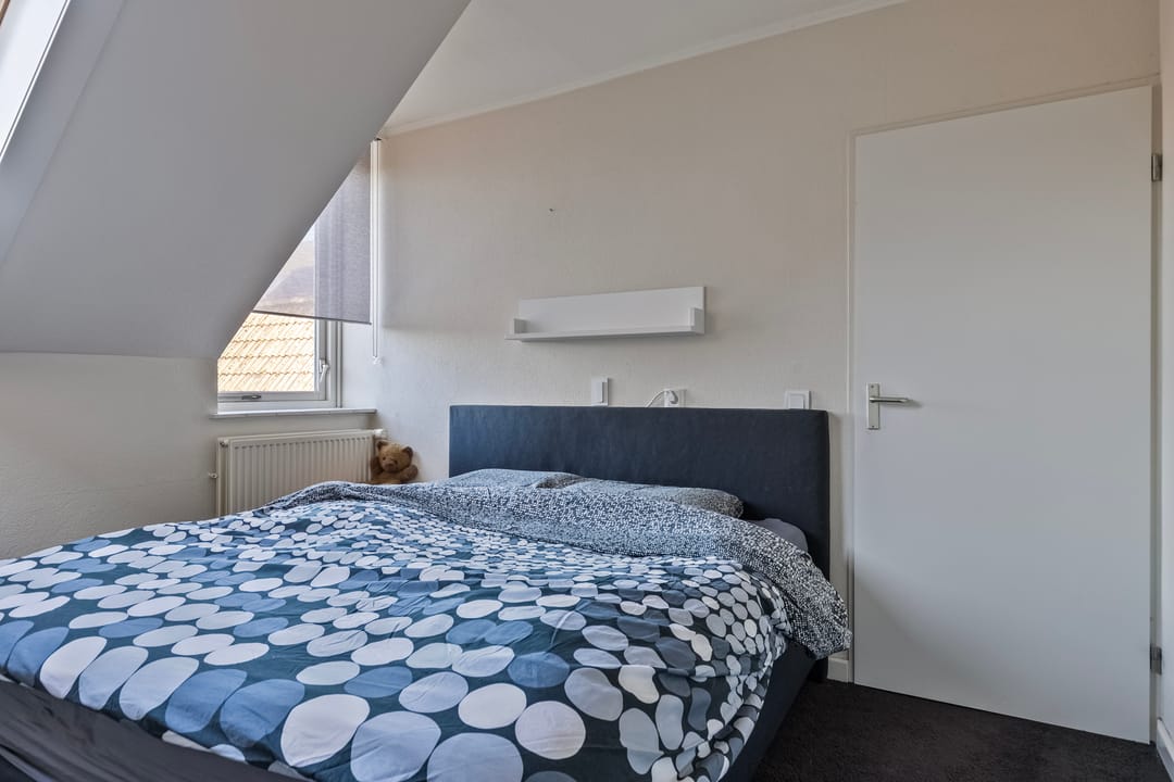 Foto 17 van Distel 6