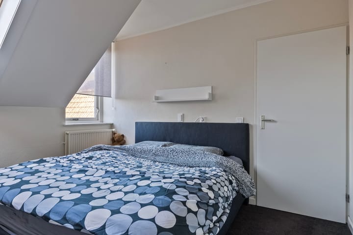 Foto 17 van Distel 6