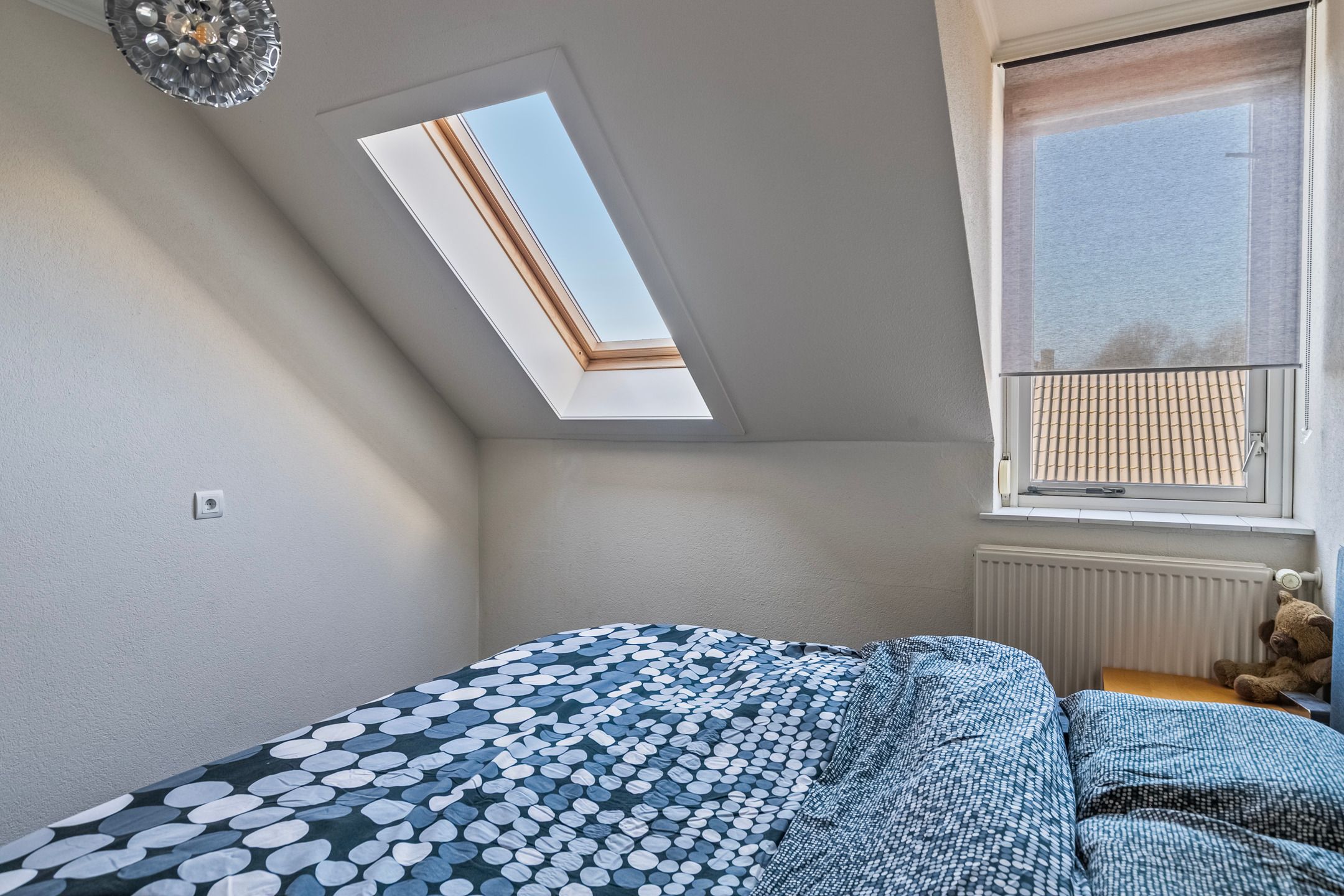 Foto 18 van Distel 6