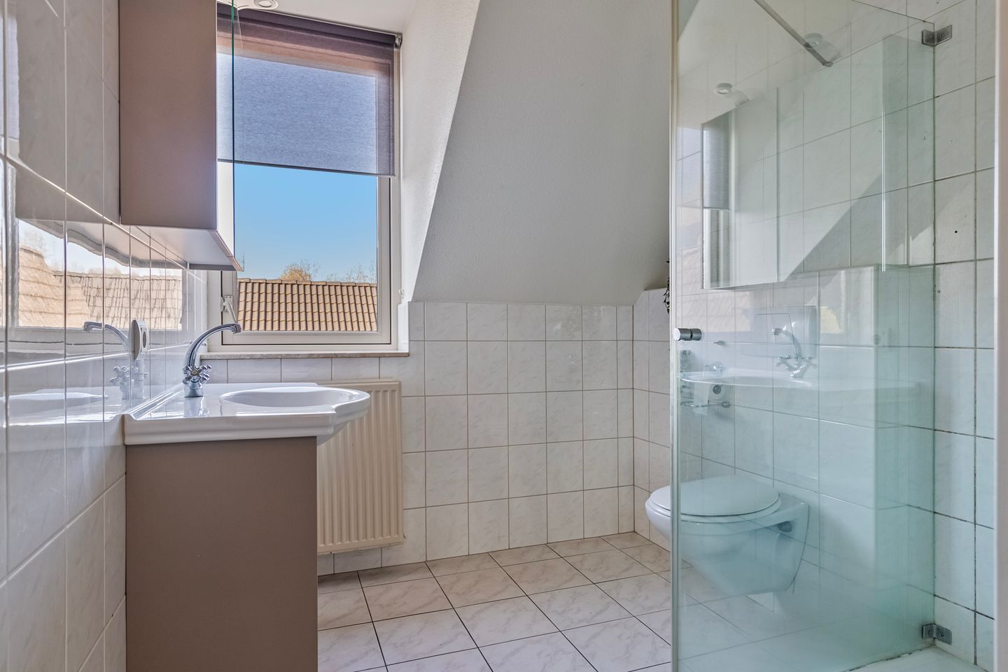 Foto 19 van Distel 6