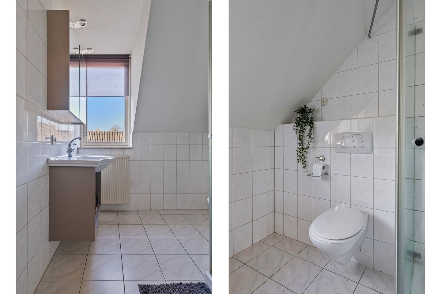 Foto 20 van Distel 6