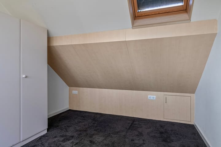 Foto 24 van Distel 6