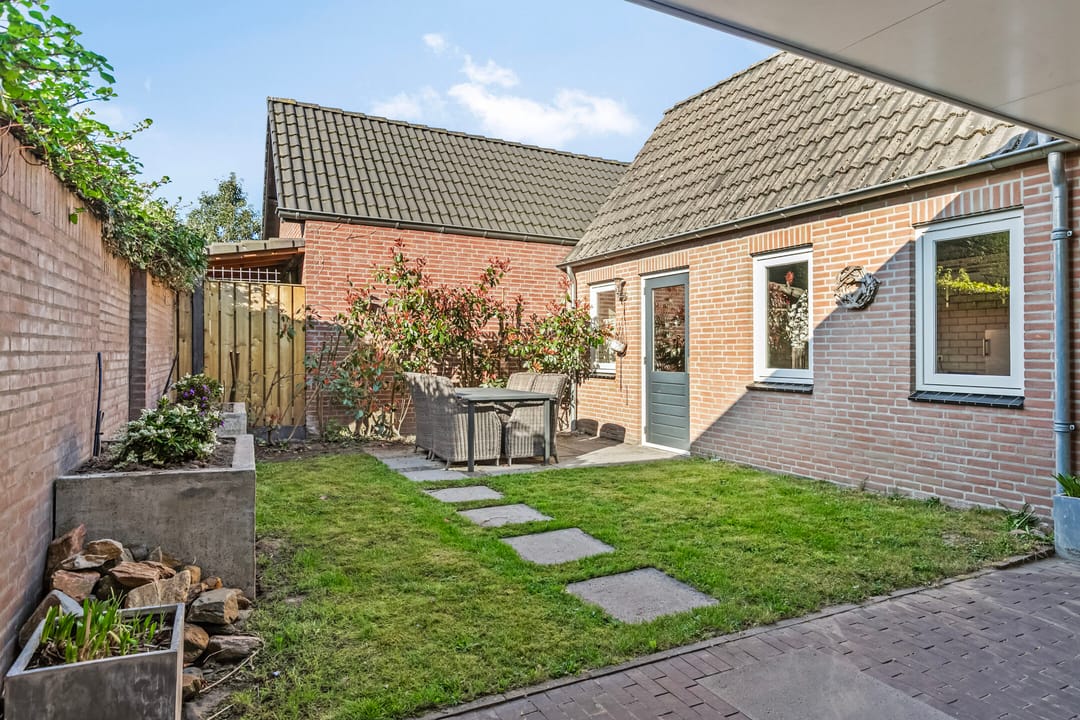 Foto 26 van Distel 6