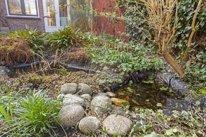 Foto 40 van Hemonystraat 9