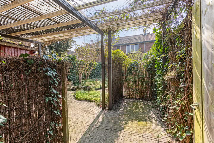 Foto 43 van Hemonystraat 9