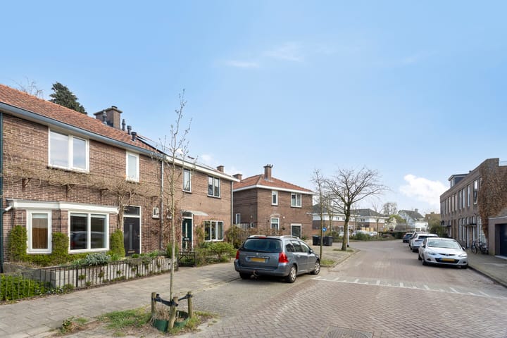 Foto 48 van Hemonystraat 9