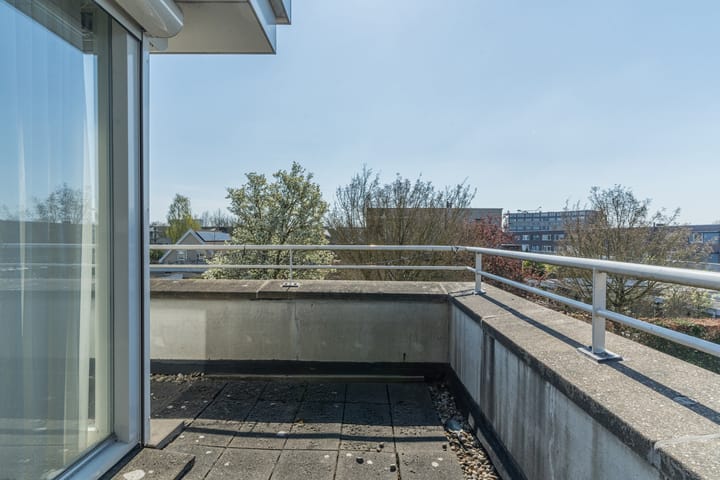 Foto 51 van Klaverblauwtje 20