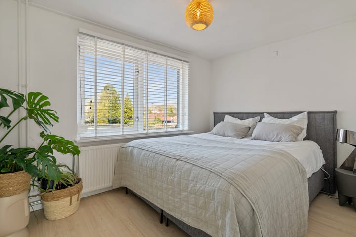 Foto 23 van Witte de Withstraat 1