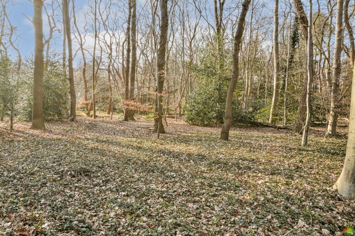 Photo 24 of Vaartweg 190-47