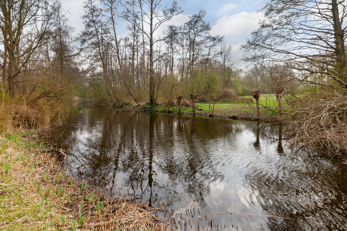 Foto 40 van Utrechtlaan 135