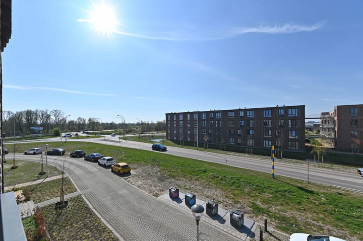 Photo 8 of Begoniatuin 211