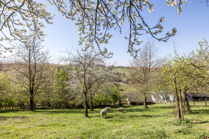 Foto 2 van Winthagen 10