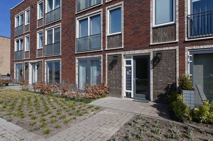 Photo 29 of Begoniatuin 211