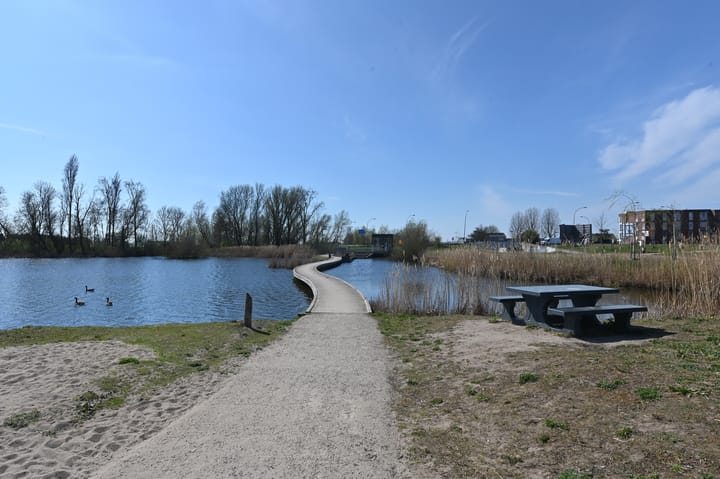 Photo 34 of Begoniatuin 211