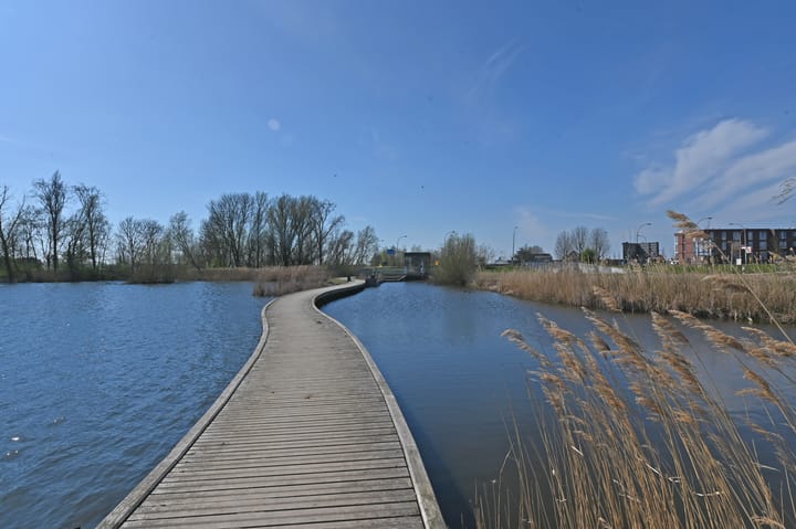 Photo 35 of Begoniatuin 211