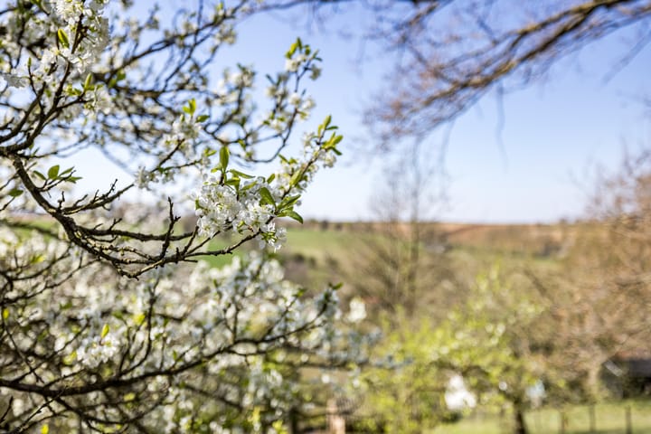 Foto 34 van Winthagen 10