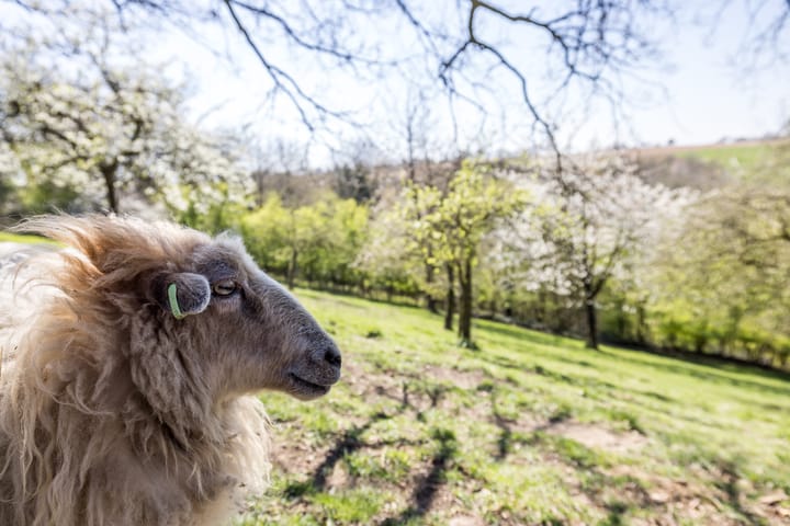 Foto 36 van Winthagen 10