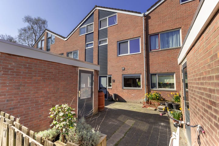 Foto 1 van Maagdepalm 7