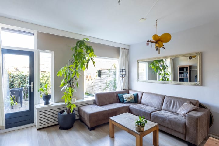 Foto 6 van Maagdepalm 7