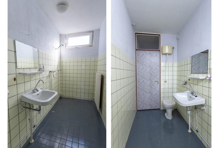 Foto 12 van Maagdepalm 7