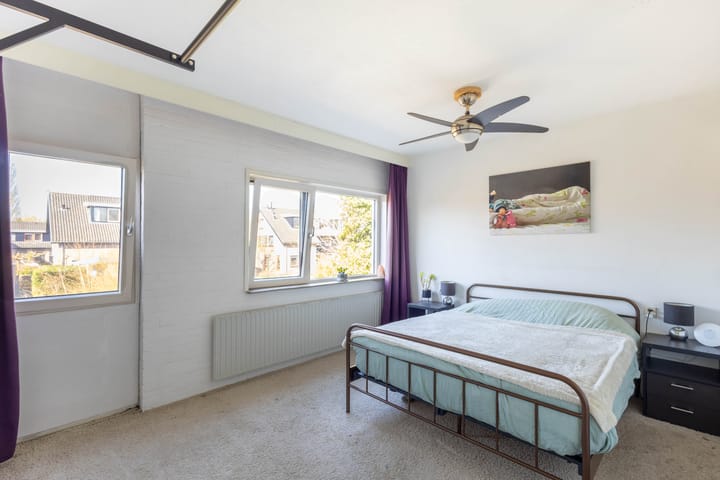 Foto 13 van Maagdepalm 7