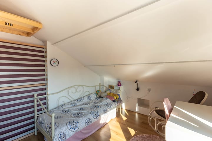 Foto 19 van Maagdepalm 7