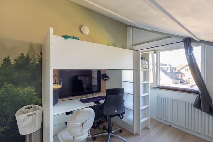 Foto 21 van Maagdepalm 7