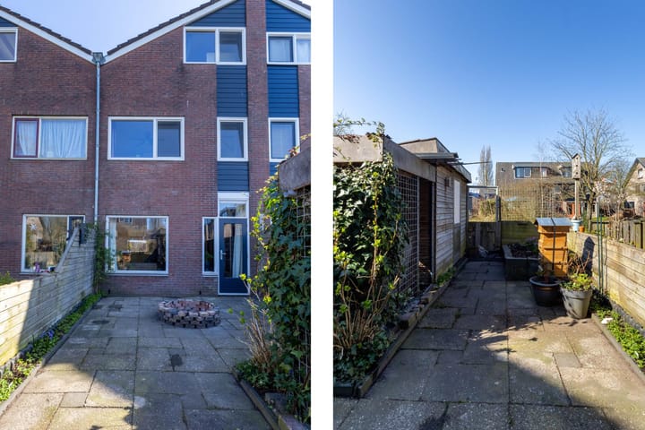 Foto 25 van Maagdepalm 7