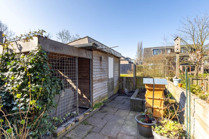 Foto 26 van Maagdepalm 7