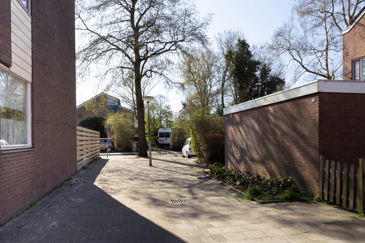 Foto 27 van Maagdepalm 7