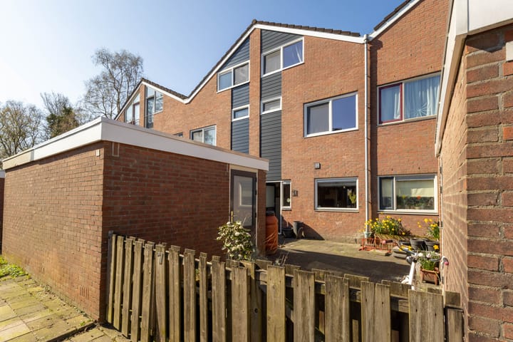 Foto 28 van Maagdepalm 7