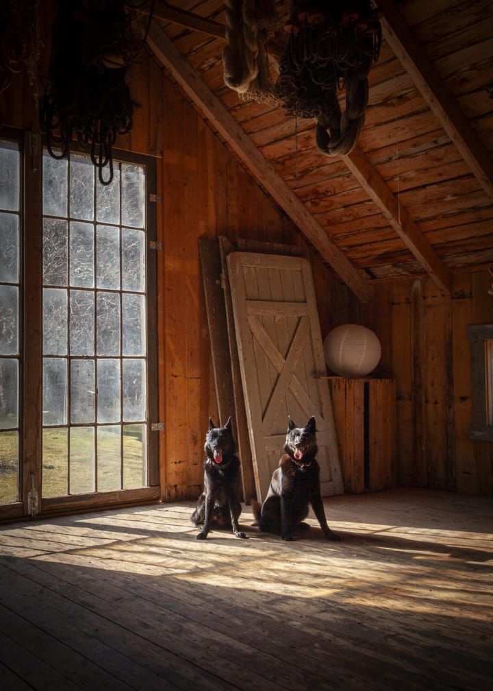 Foto 37 van Rateveien 11