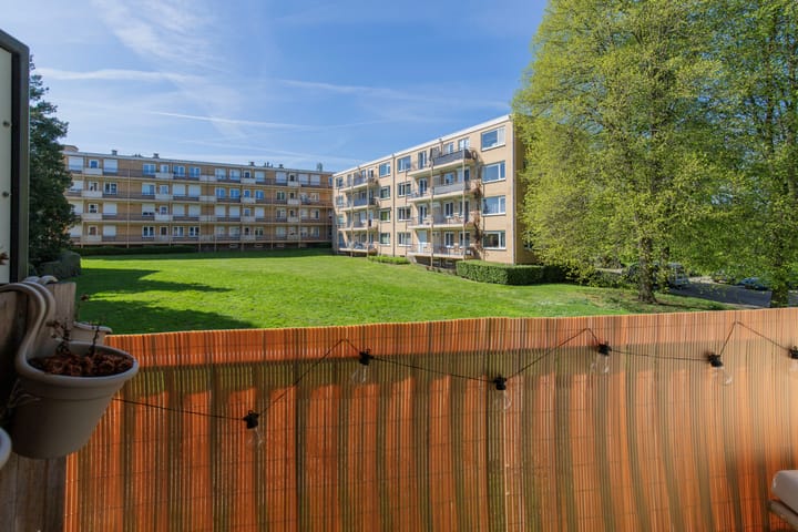 Foto 18 van Irenestraat 40