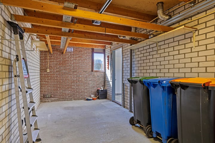 Foto 10 van Fonteinkruid 5