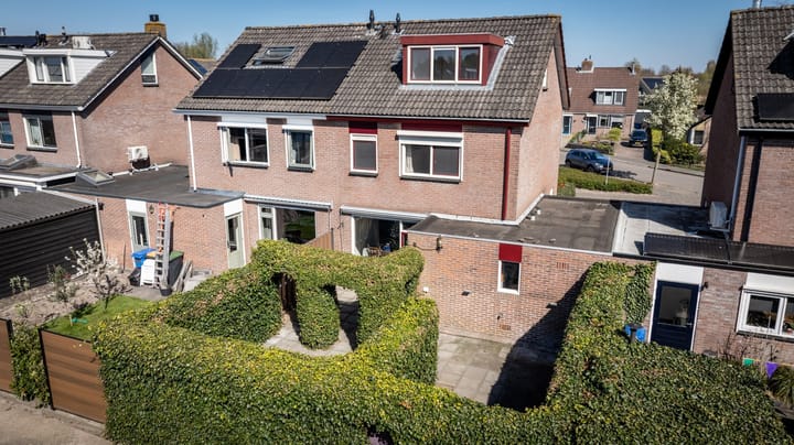 Foto 24 van Fonteinkruid 5