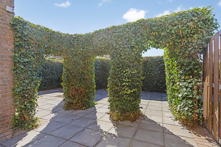 Foto 25 van Fonteinkruid 5