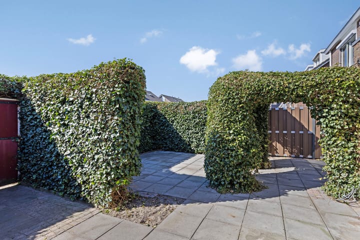 Foto 29 van Fonteinkruid 5