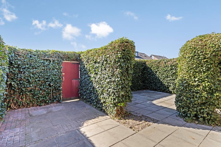 Foto 30 van Fonteinkruid 5