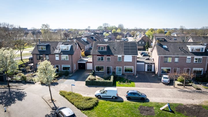 Foto 40 van Fonteinkruid 5