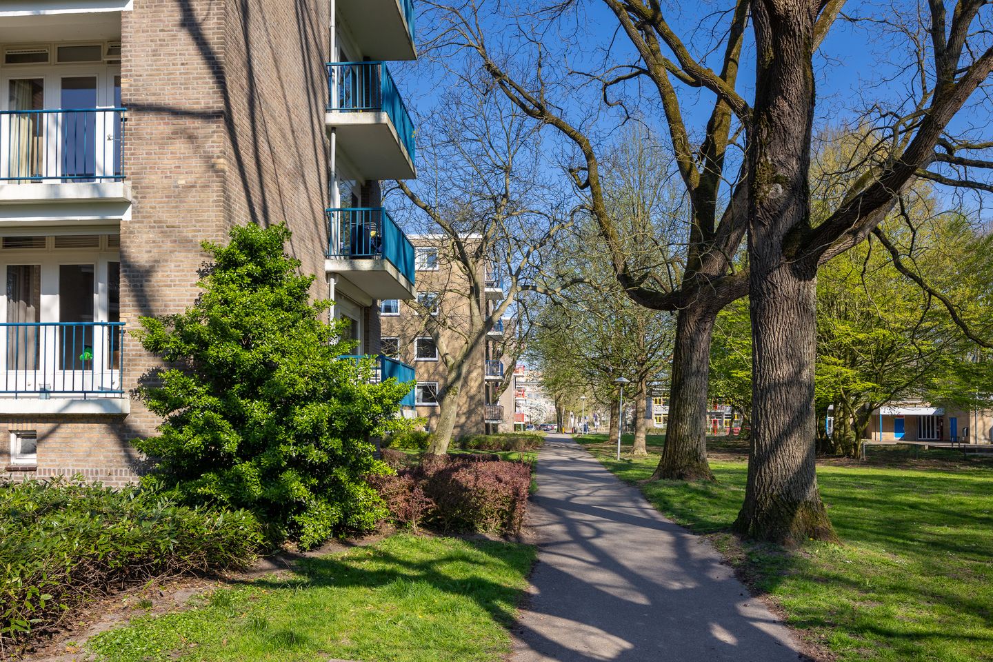 Foto 35 van Rubenslaan 61