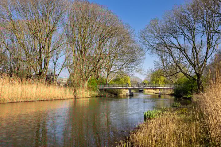 Foto 42 van Rubenslaan 61