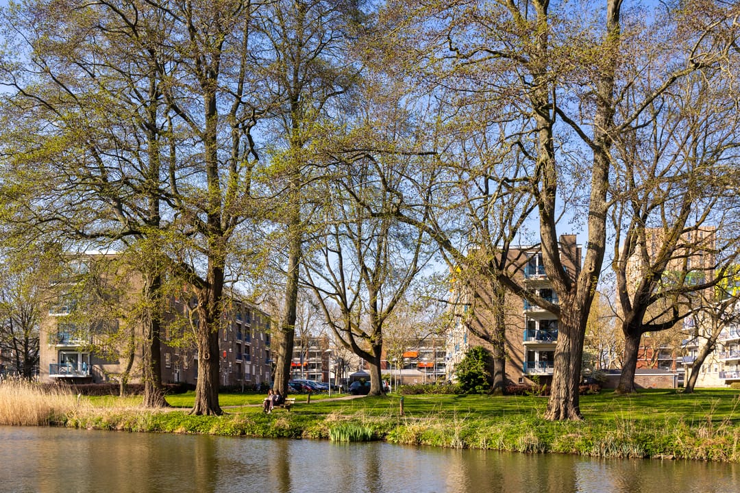 Foto 43 van Rubenslaan 61