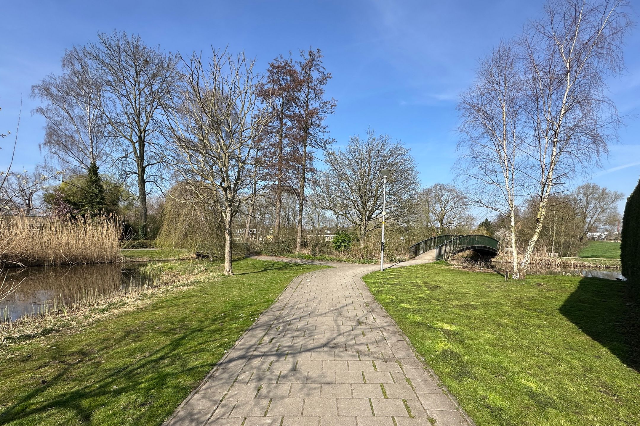 Foto 42 van Diederik van Schagenplantsoen 9